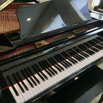 Used baby grand petite grand black Fort Myers Naples Bonita Springs